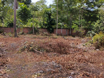 Terreno à Venda